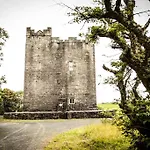 Smithstown Castle شقة *