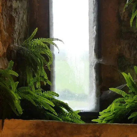 Appartement Smithstown Castle