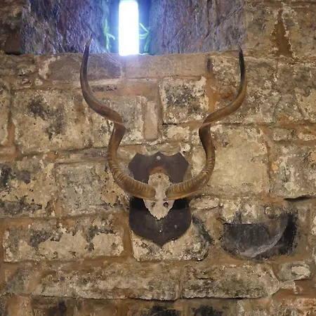 Smithstown Castle