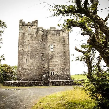 Smithstown Castle Daire *