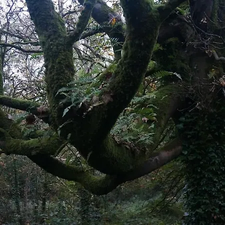 Daire Smithstown Castle *