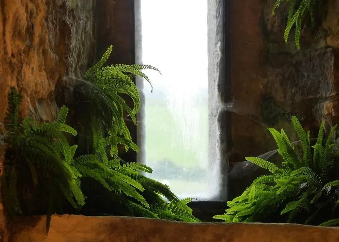 Lägenhet Smithstown Castle