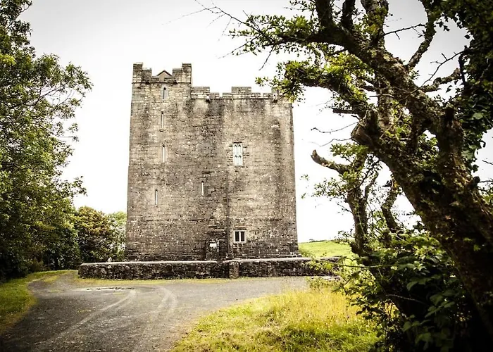Smithstown Castle Lägenhet *