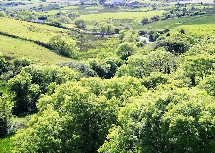 Smithstown Castle Lägenhet *