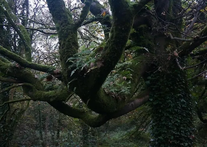 Appartement Smithstown Castle *